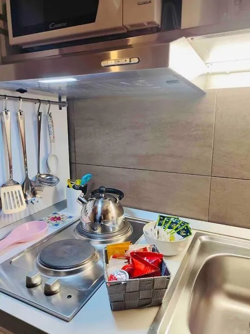 The Nest Near Santa Croce Apartment Florence Italy